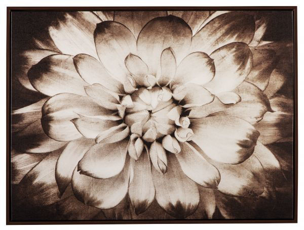 Picture of Phiala - Blooming Flower Art