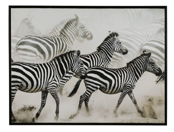 Picture of Breeda - Safari Wall Art