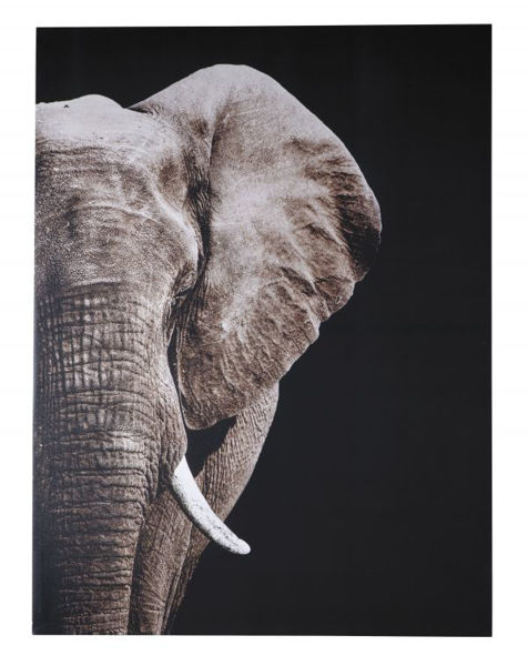 Picture of Jendayi - Elephant Wall Art